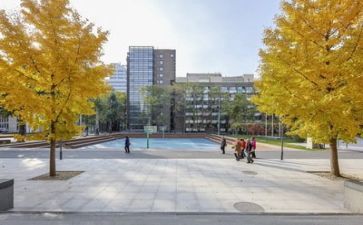 学校培训计划精选6篇