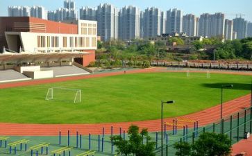 个人学校总结报告5篇