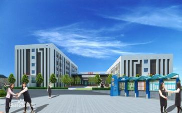 学校述职报告模板6篇