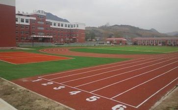 学校的我作文推荐6篇