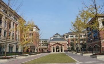 学校的年终总结及工作计划7篇