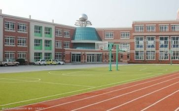 学校培训科工作总结6篇