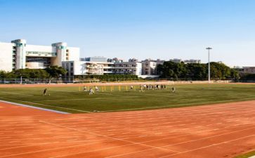 关于学校调研报告5篇