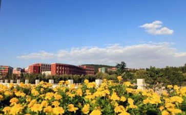 高等学校毕业生自我鉴定推荐6篇