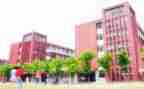 校长学校述职报告精选7篇