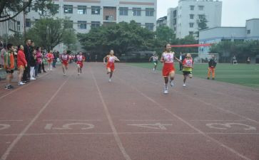 2024年学校体育卫生工作总结7篇