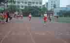 2024年学校体育卫生工作总结7篇