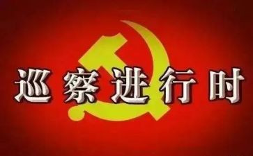 村巡察汇报材料7篇