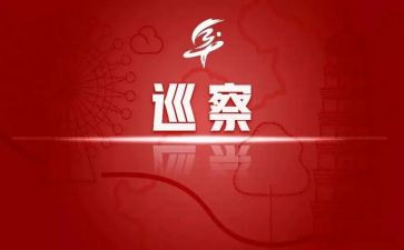 巡察组长工作个人总结5篇