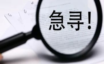寻访作文500字7篇