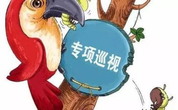 参加巡视工作总结6篇