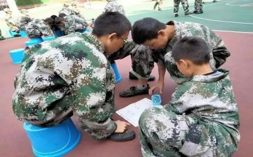 培训学校520活动方案精选5篇