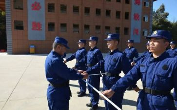 艺术培训学校的工作计划5篇