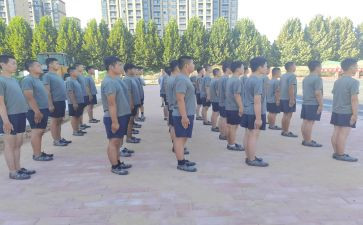 艺术培训学校培训计划8篇
