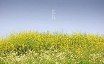 写叙事的作文400字5篇