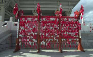 许愿2024年作文通用6篇