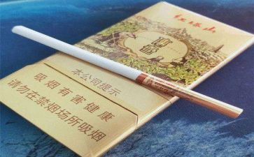 镇控烟活动总结范文5篇