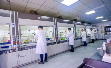 研发的工作总结参考5篇