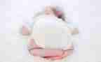 追宝宝教案最新7篇