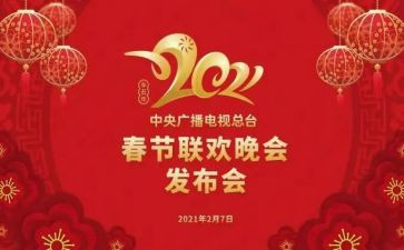 2024年央视春节晚会观后感7篇