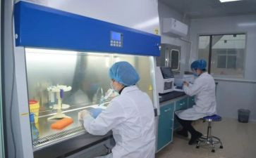 化验员自我鉴定优质8篇