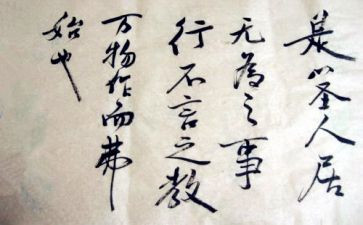 言与行演讲稿300字精选7篇