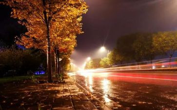 写夜的作文400字6篇