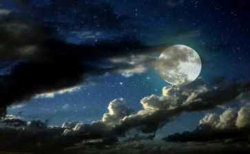 夜作文600字精选5篇