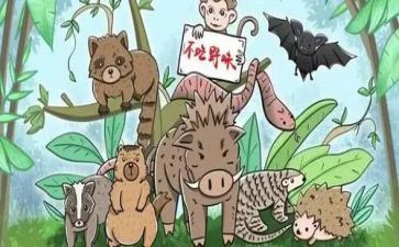 保护野味的演讲稿5篇