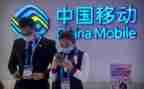 移动公司总结报告5篇