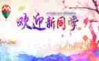 迎新年活动方案5篇