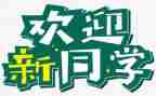 社区迎新活动方案8篇