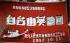 学英雄赞英雄心得参考8篇