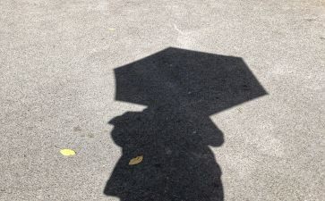 影子舞教案精选7篇