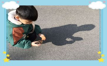 影子舞教案优质8篇