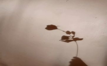 影子舞教案参考5篇