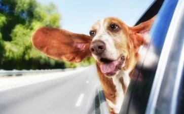 很有趣作文600字模板7篇