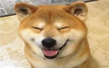 国庆有趣的事作文最新8篇