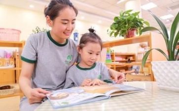 男幼师心得模板7篇