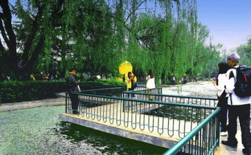 游园会活动策划7篇