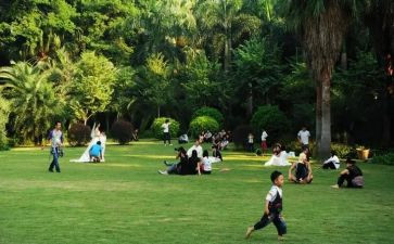 2024年幼儿园元旦游园活动总结7篇