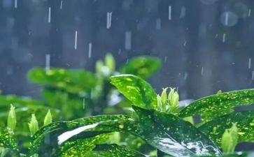 小英雄雨来的心得体会优秀7篇