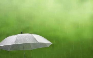 绘画雨教案精选8篇