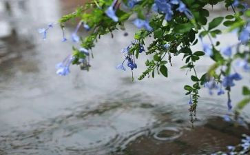 城市的雨演讲稿8篇