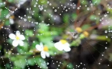 细雨的作文5篇