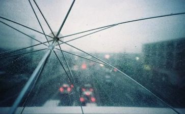 读雷雨心得体会6篇