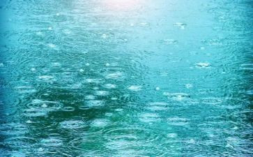 雨中的故事作文5篇