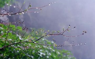 雨水的作文精选8篇