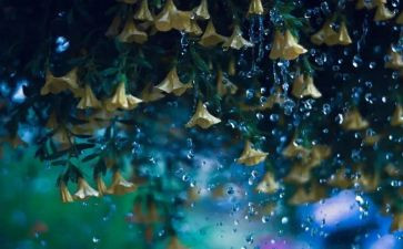 雨作业300字作文优质7篇