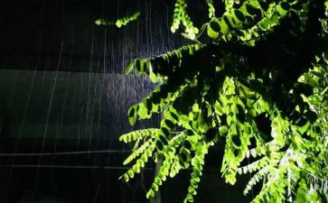 城市的雨演讲稿优质7篇
